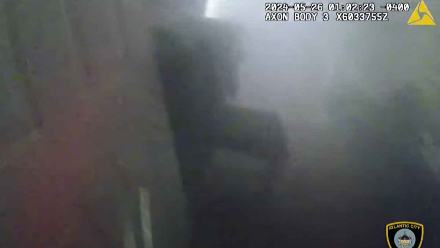 Police Rescues Teenager BWC: N.J. police officer rescues teen, 3 dogs, cat from house fire