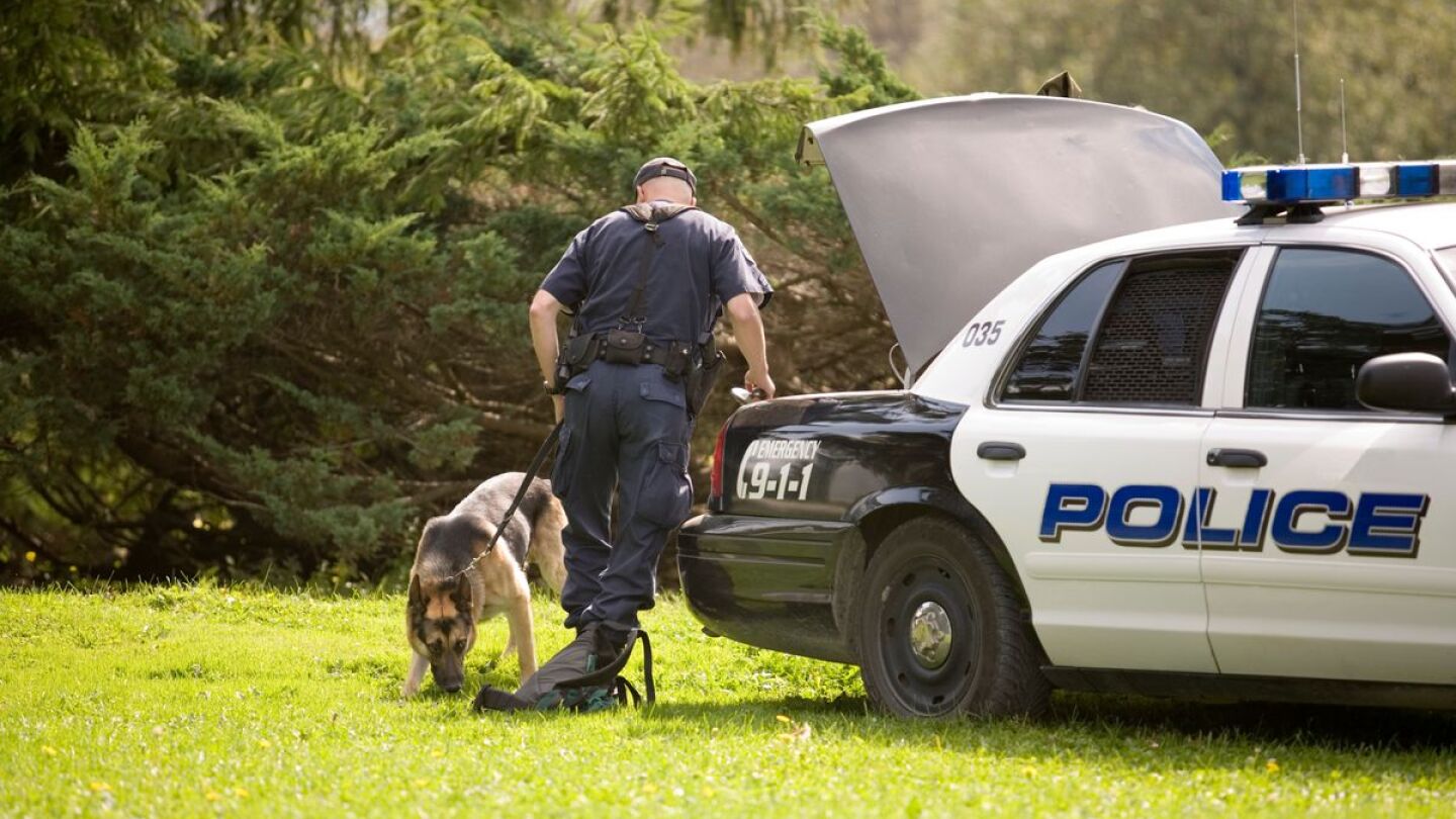 Police K-9 unit