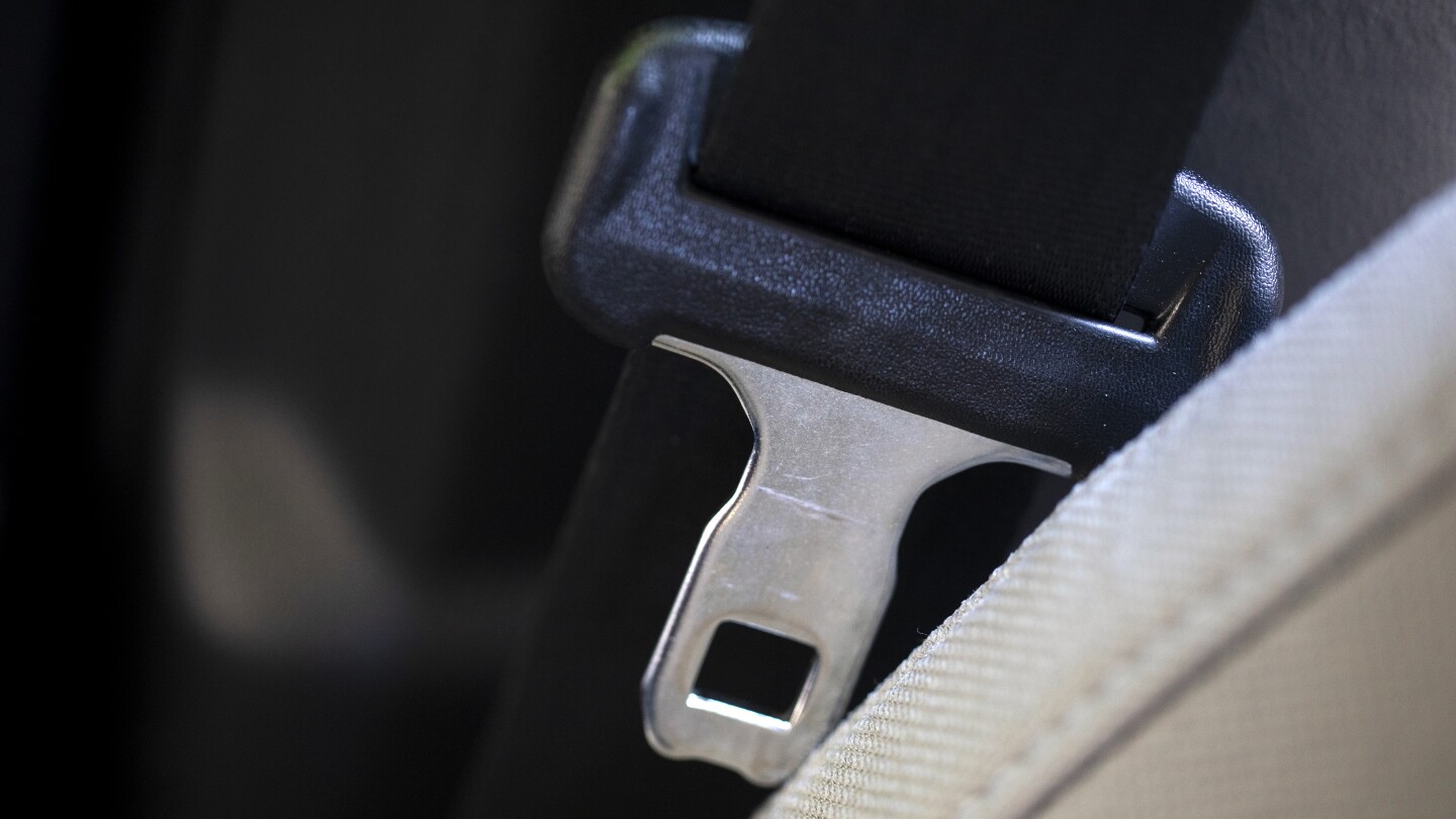 Seat Belt