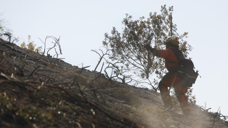 Calfire Inmate Program Inmate FF recaptured after escape from Calif. fire camp