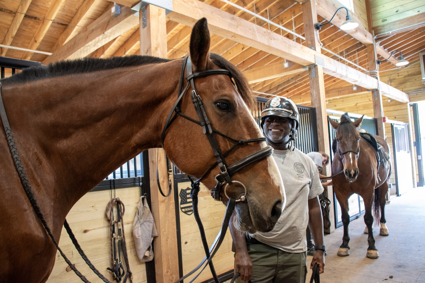 APD mounted unit 2.jpg