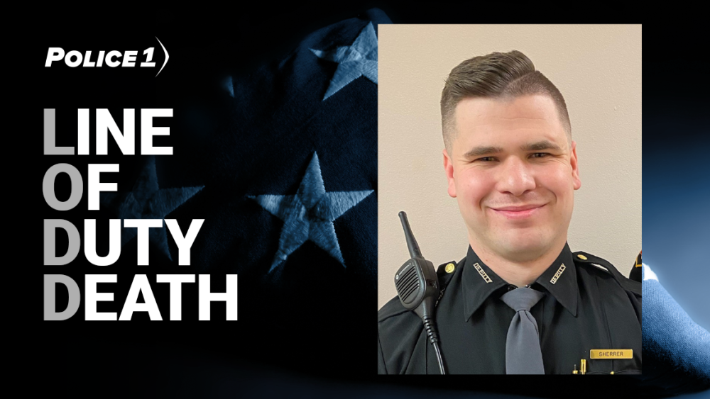 Sherrer Ohio deputy fatally shot while responding to domestic violence call