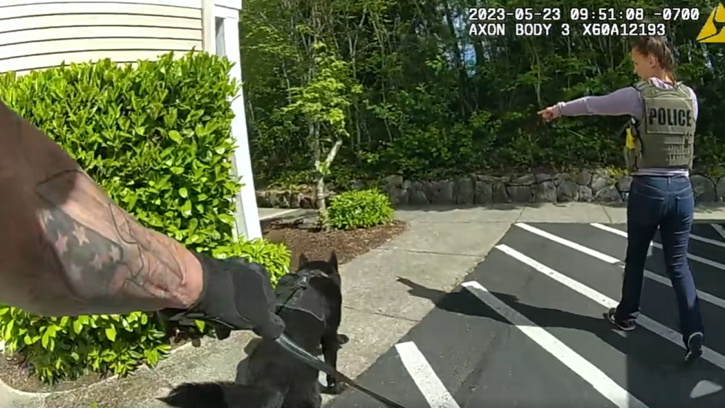 k9tracksdownsuspect.png