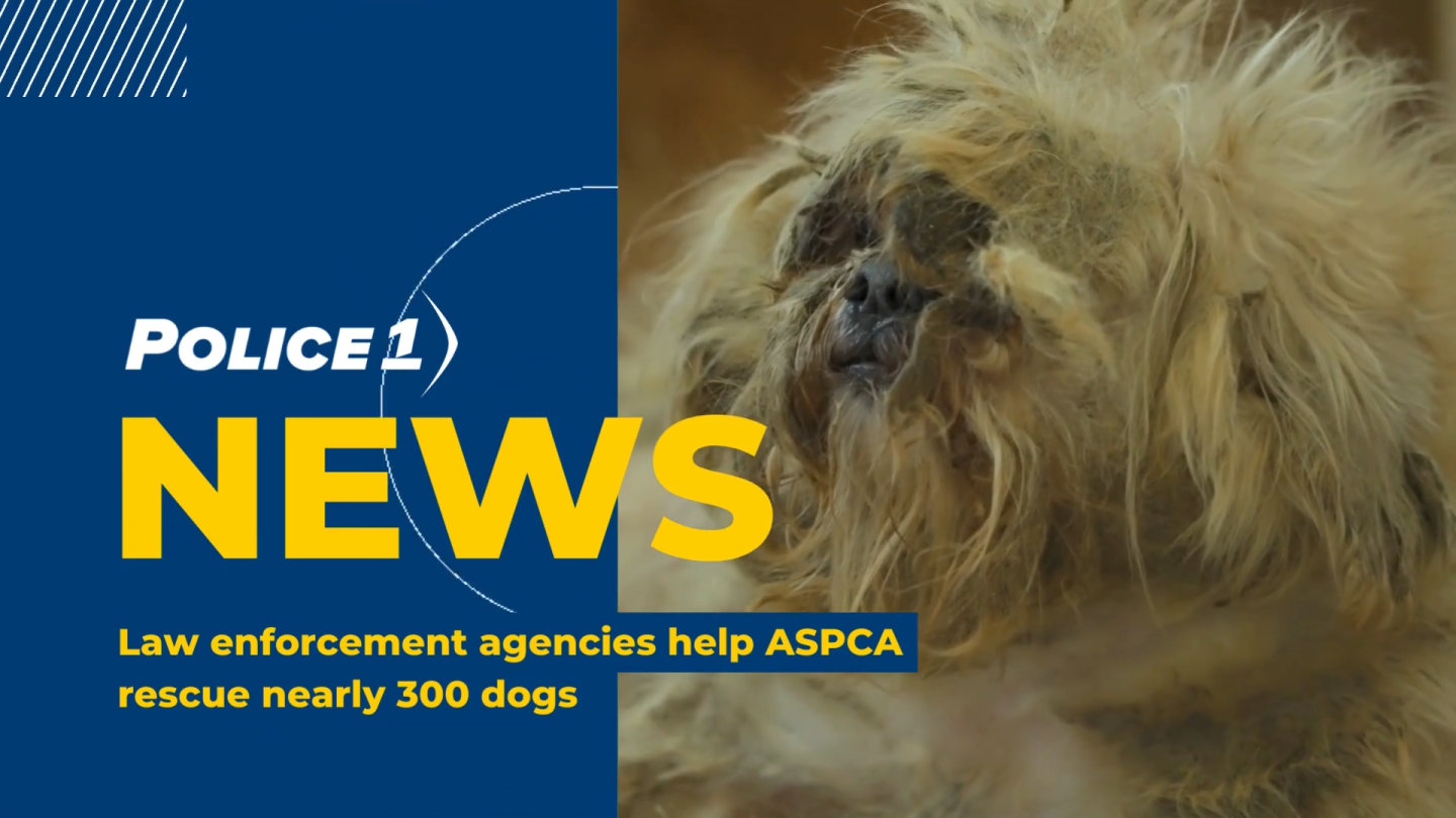 Law enforcement agencies across 4 states help ASPCA rescue nearly 300 dogs