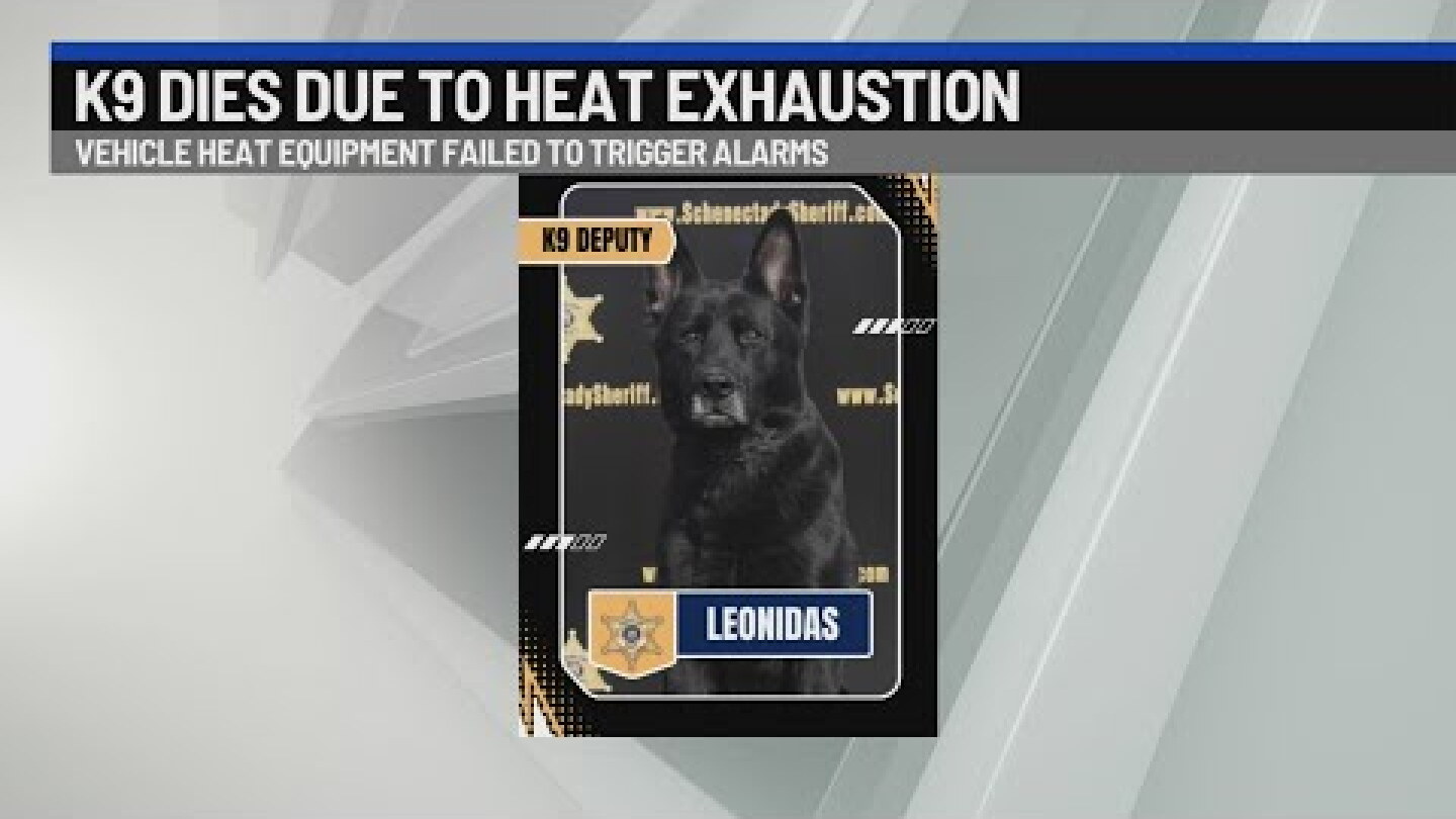N.Y. sheriff’s K-9 dies from heat exhaustion after patrol vehicle alarm system fails