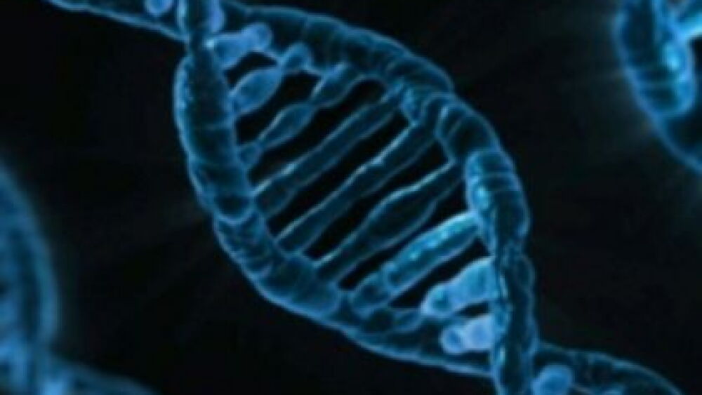 Dna Del Roo How police can use DNA to solve cold cases
