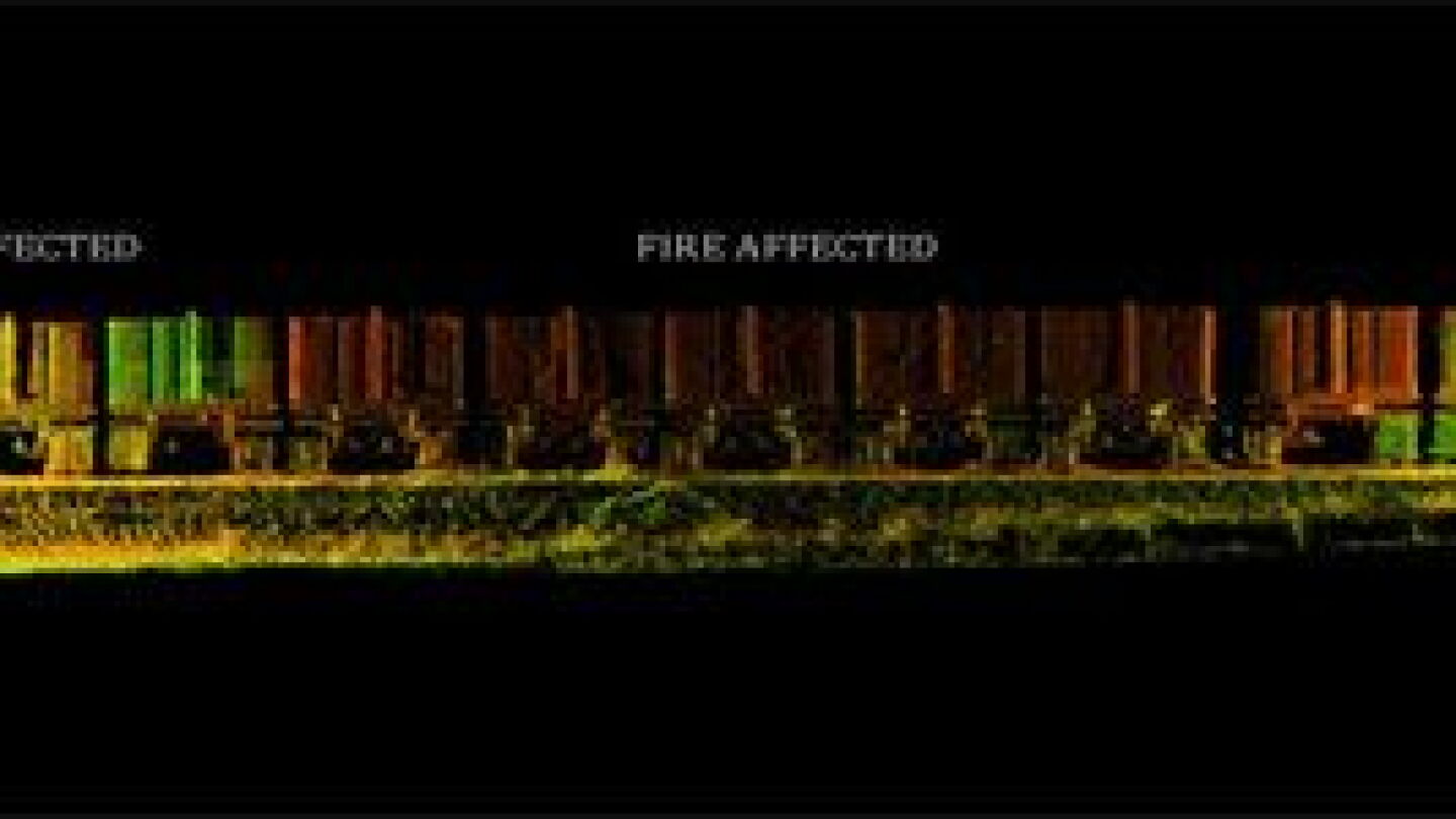 Fire Sign Ct Scan Laser scan data reveals burn patterns in intensity scale for fire ...
