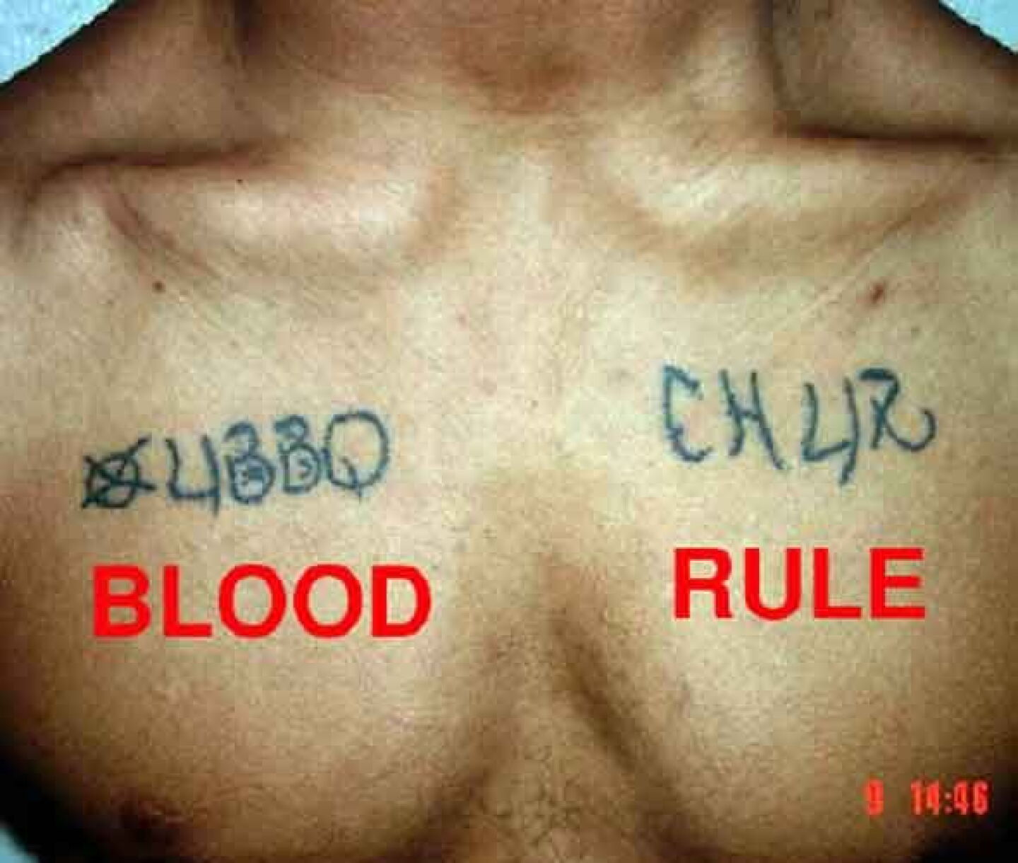 Gang Secret Code Gang codes within a code