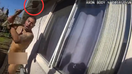 Screenshot 2026-03-23 103002.png