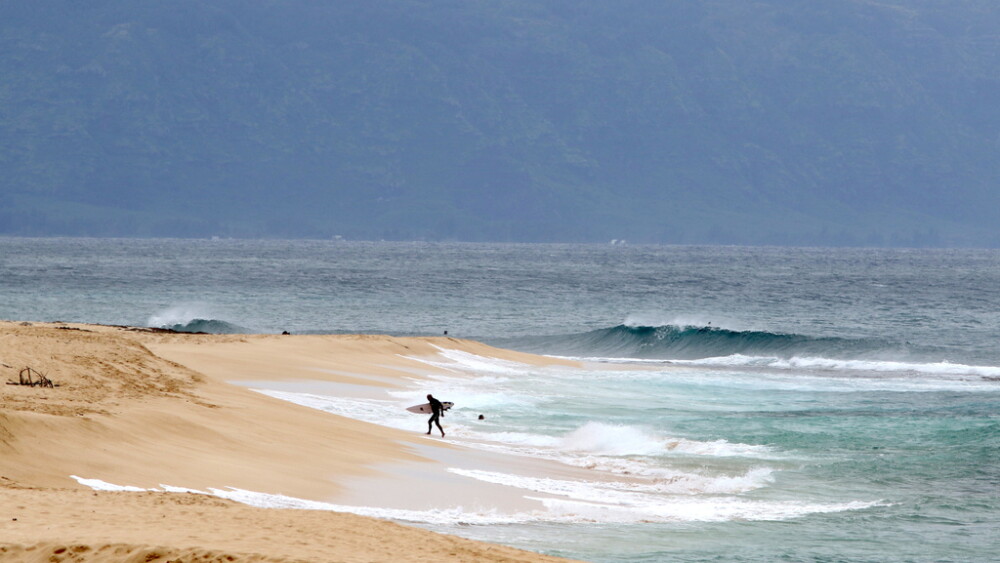 Lifeguard Death Hawaii lifeguard dies after shark attack while surfing