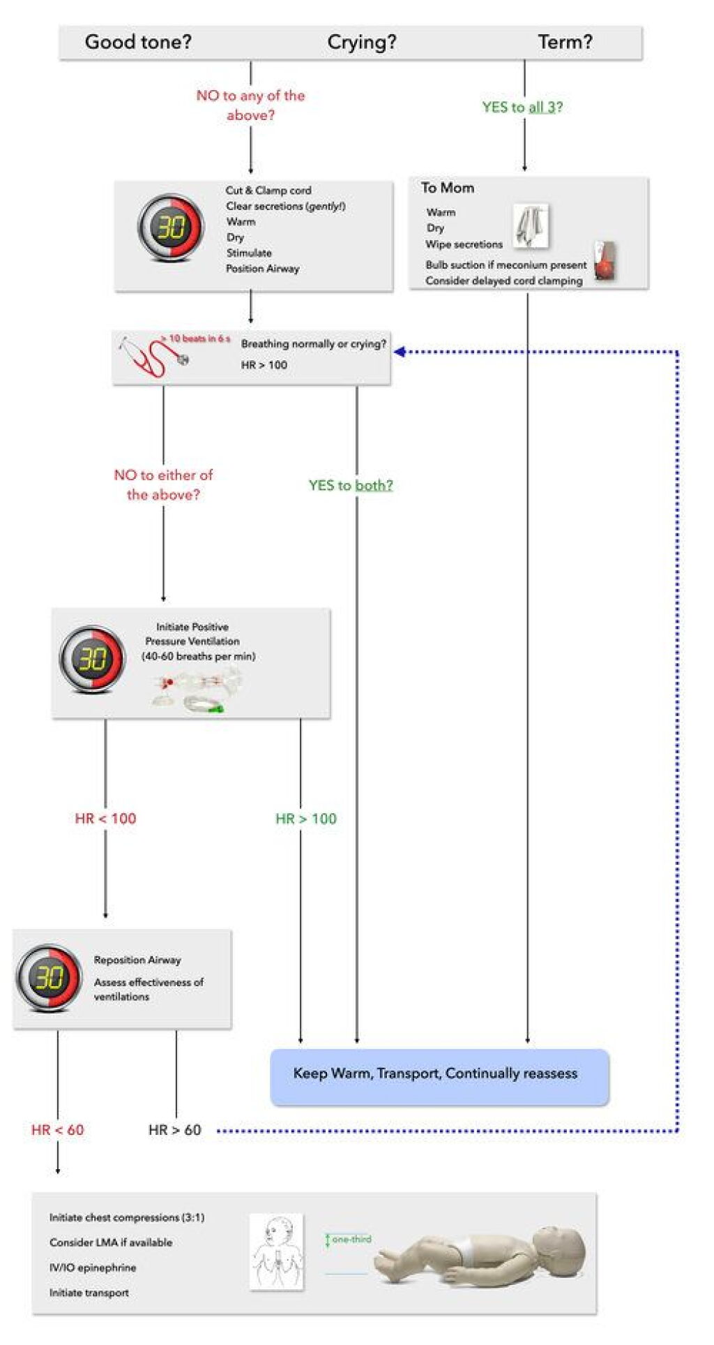 Rpr Algorithm Infant EMS training: Neonatal resuscitation
