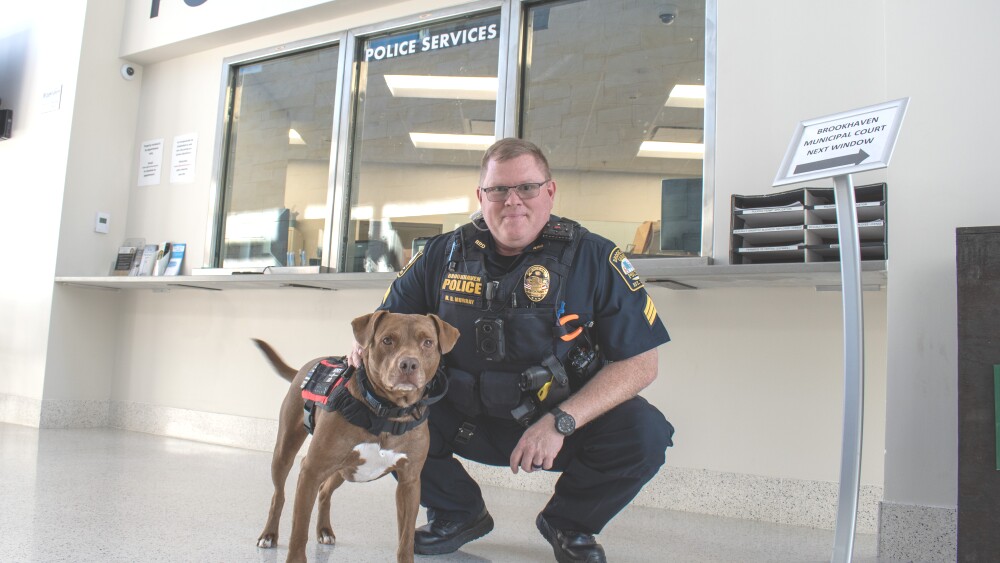 Healing paws: The rise of therapy dogs in law enforcement