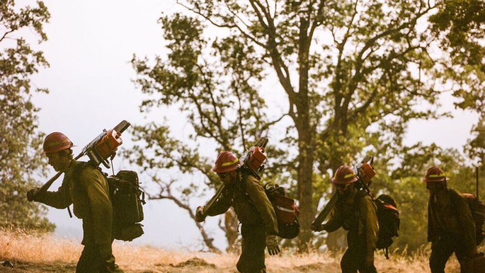 wildland4.jpg