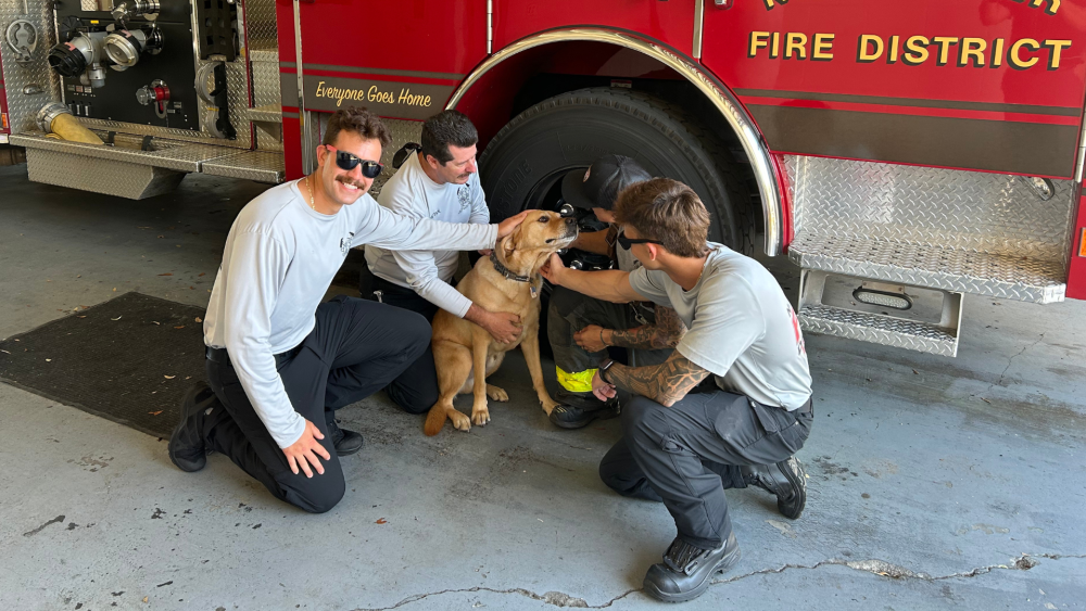 North River Fire: A case study in mental health support and member