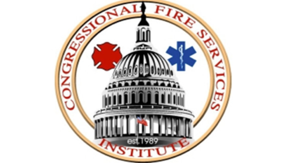 CFSI.png