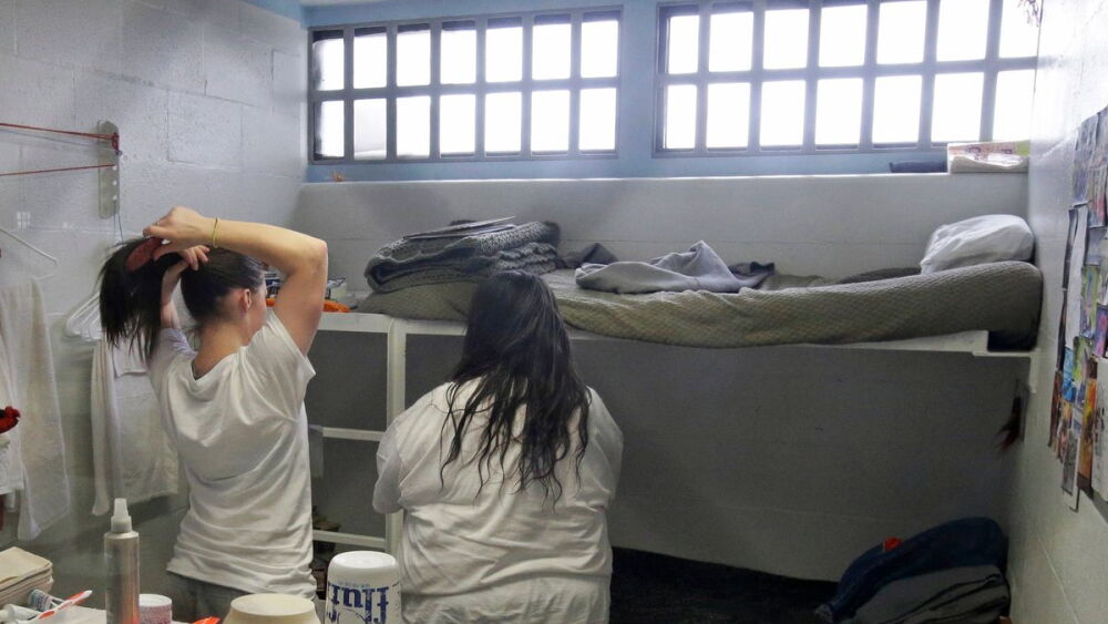 Female Inmate Defendant Female inmates discuss cross-gender supervision pros & cons