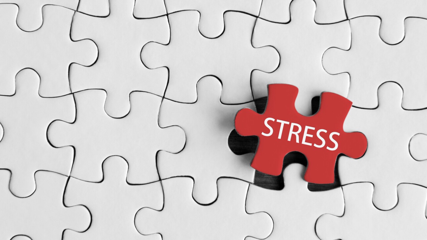 Puzzle pieces with word ‘Stress’