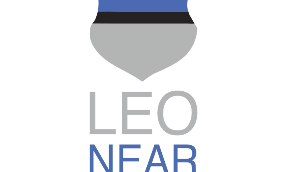 LEO Near Miss_stacked.png