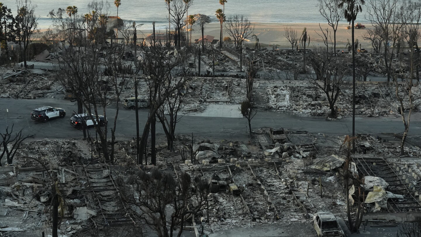 Memory Police Disaster The evolving role of law enforcement role in disaster preparedness and ...