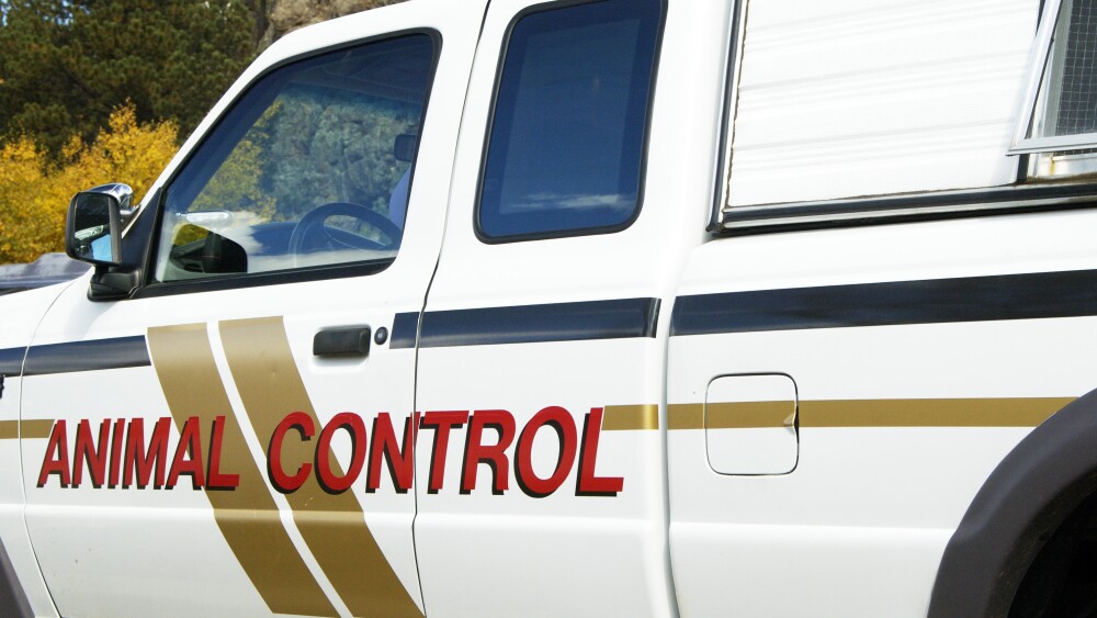 Animal control vehicle