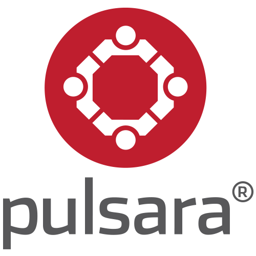pulsara-logo-stacked@500x500 (1) (2).png