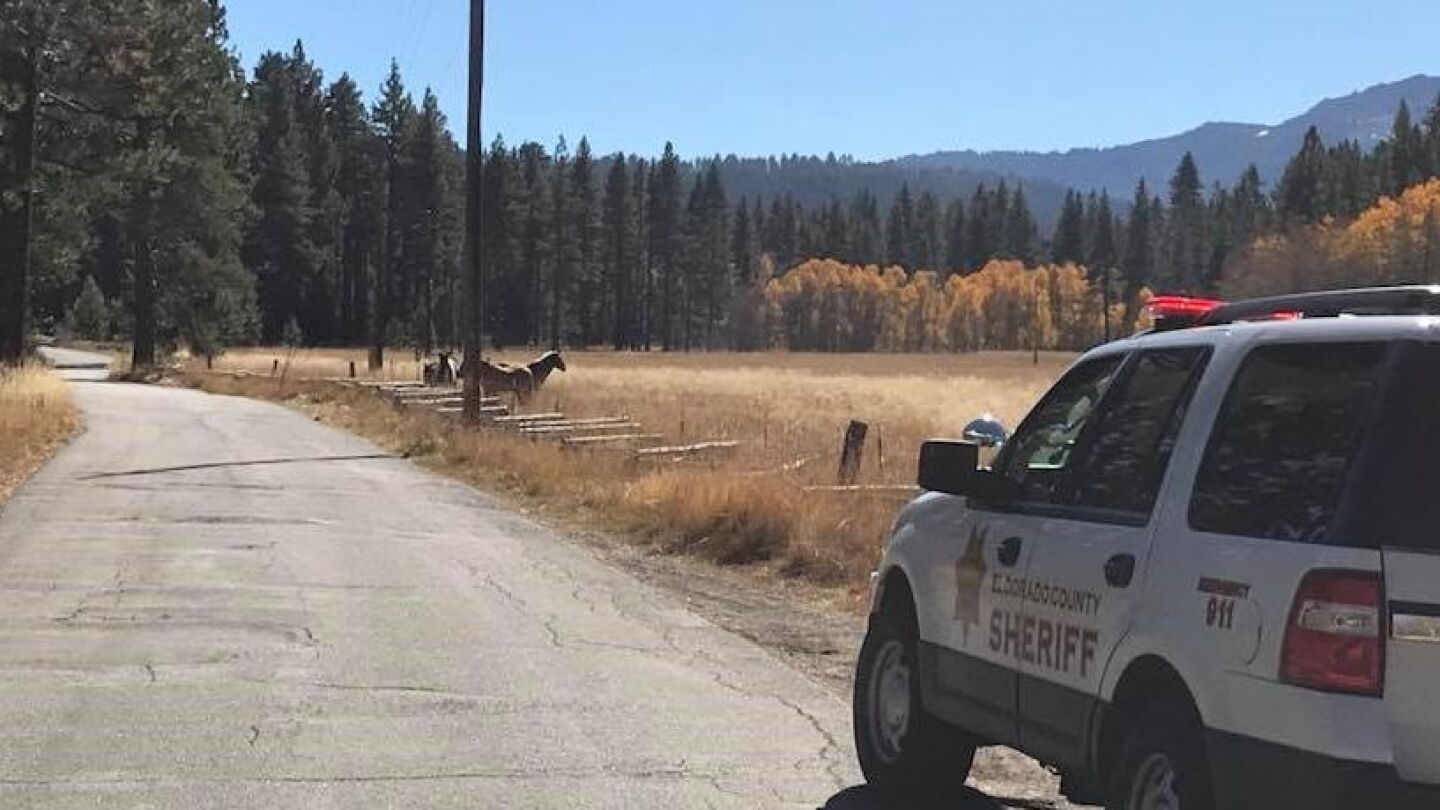 Law Enforcement Rural Operations COVID-19 risk factors for rural law enforcement