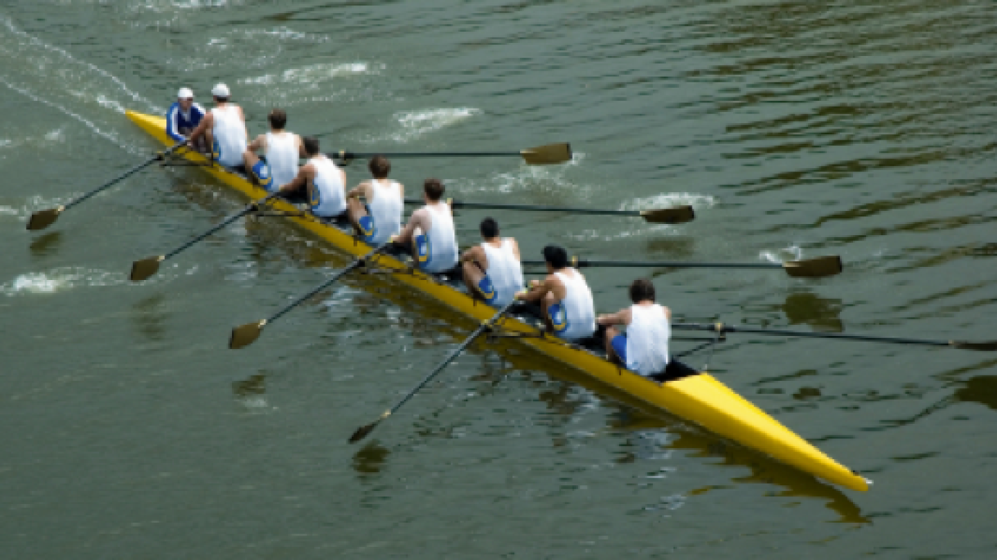 Management Rowing Boat Image 5 notable traits of high-performing management teams