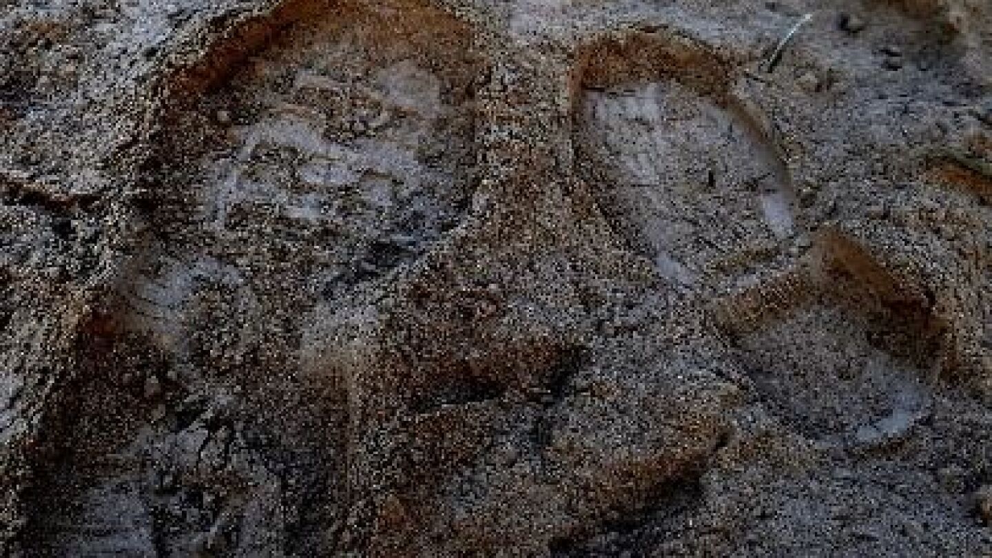 The value of pattern evidence in crime scene investigations