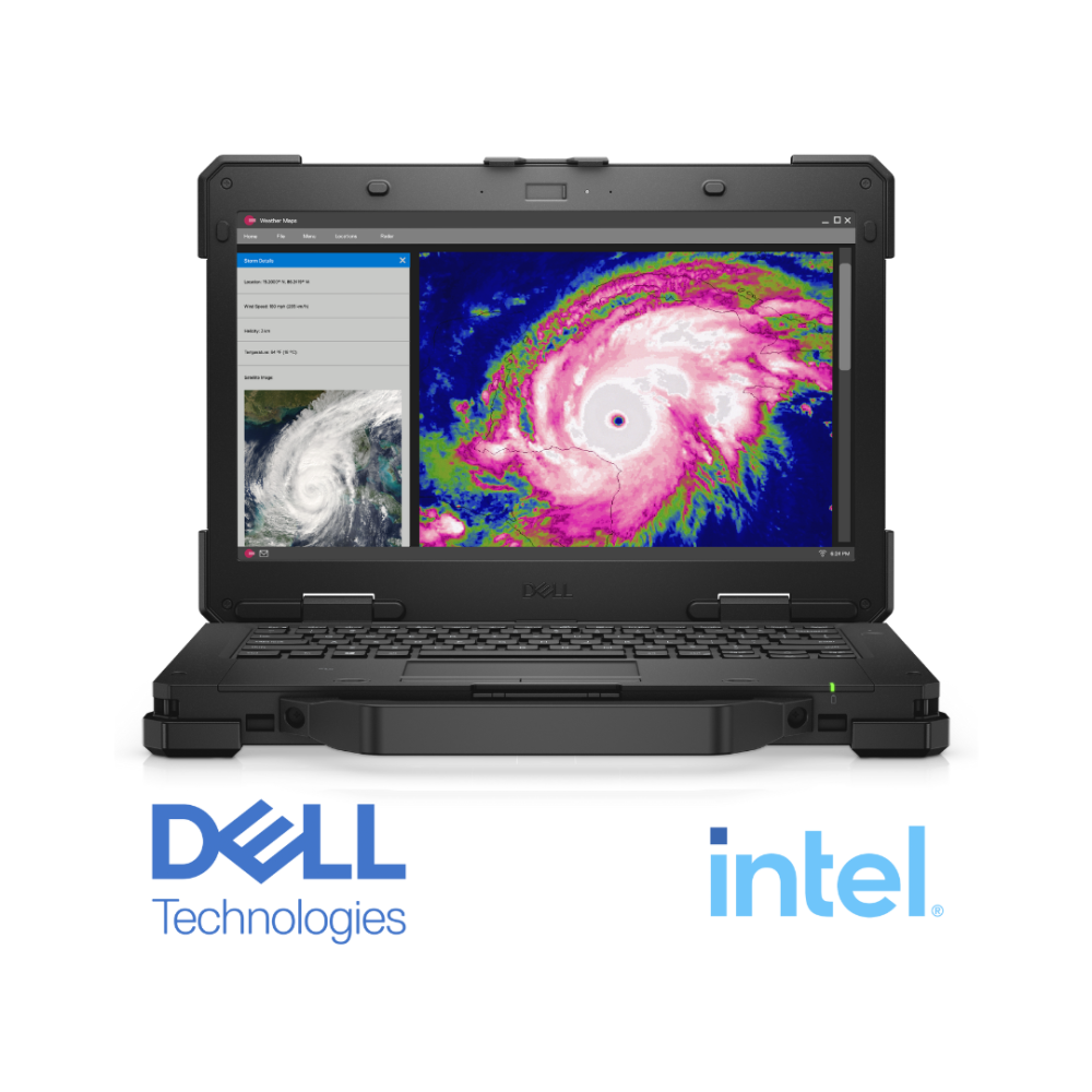 Dell Dell