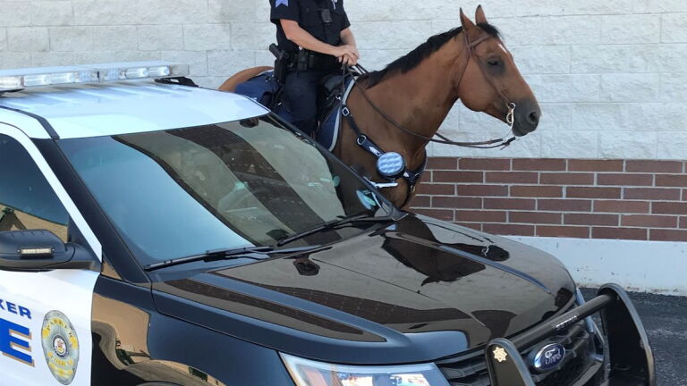 Single Rider Police Unit What role do mounted units play in modern policing?