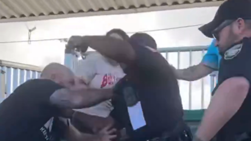 Fla. sheriff's office reviewing viral videos showing altercations between officers, spectators at Florida-Georgia game
