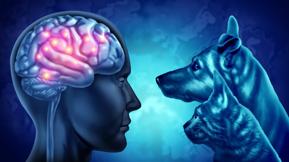 Pets and Dementia Therapy