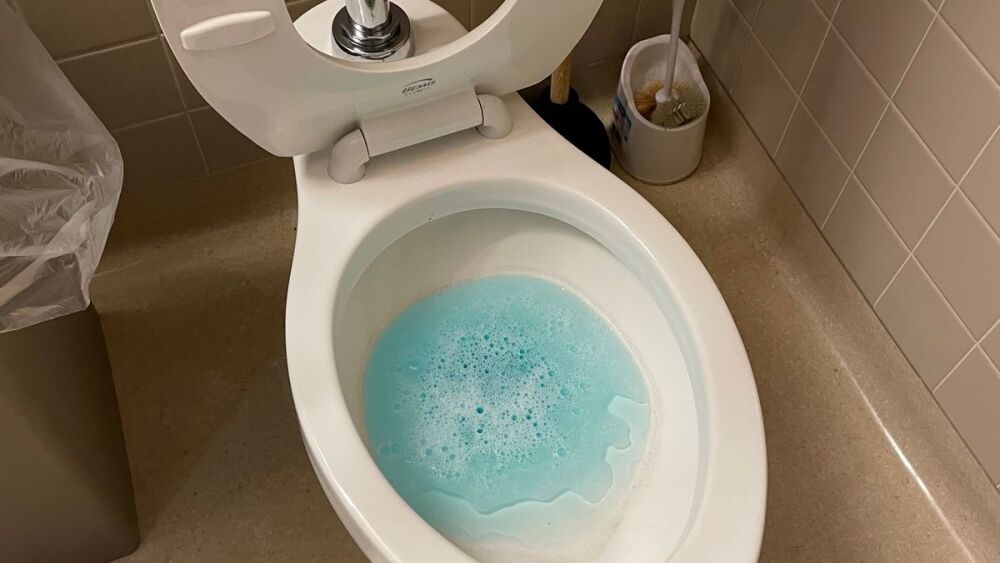 Beck-toilet cleaning2.jpg