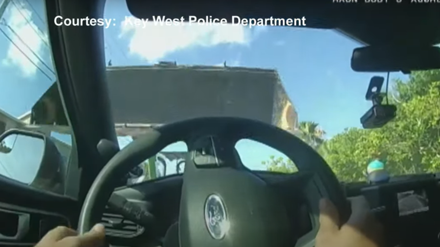 Golf course greenskeeper had murder in mind, Key West cops say. So, he got on a tractor