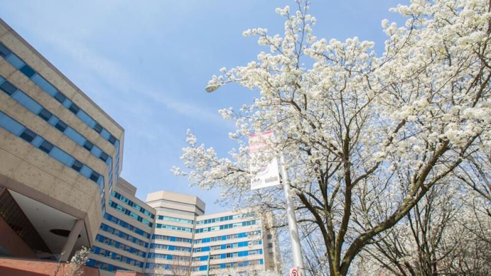 YaleNewHavenHospital.jpg