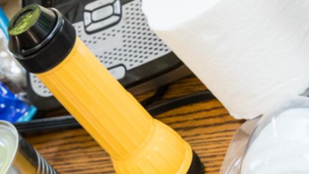 ReadygovKit062620-1.png