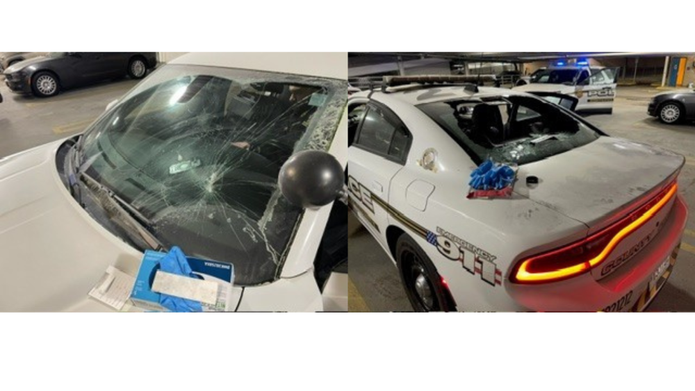 Affiliate Article 1 thumbnail - JP (8).png