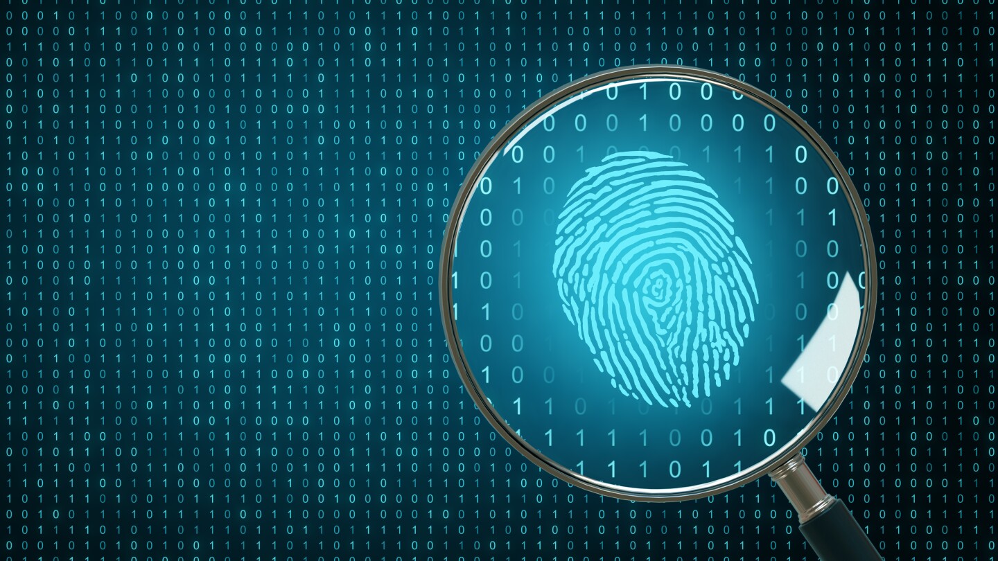 Biometrics and computing backdrop