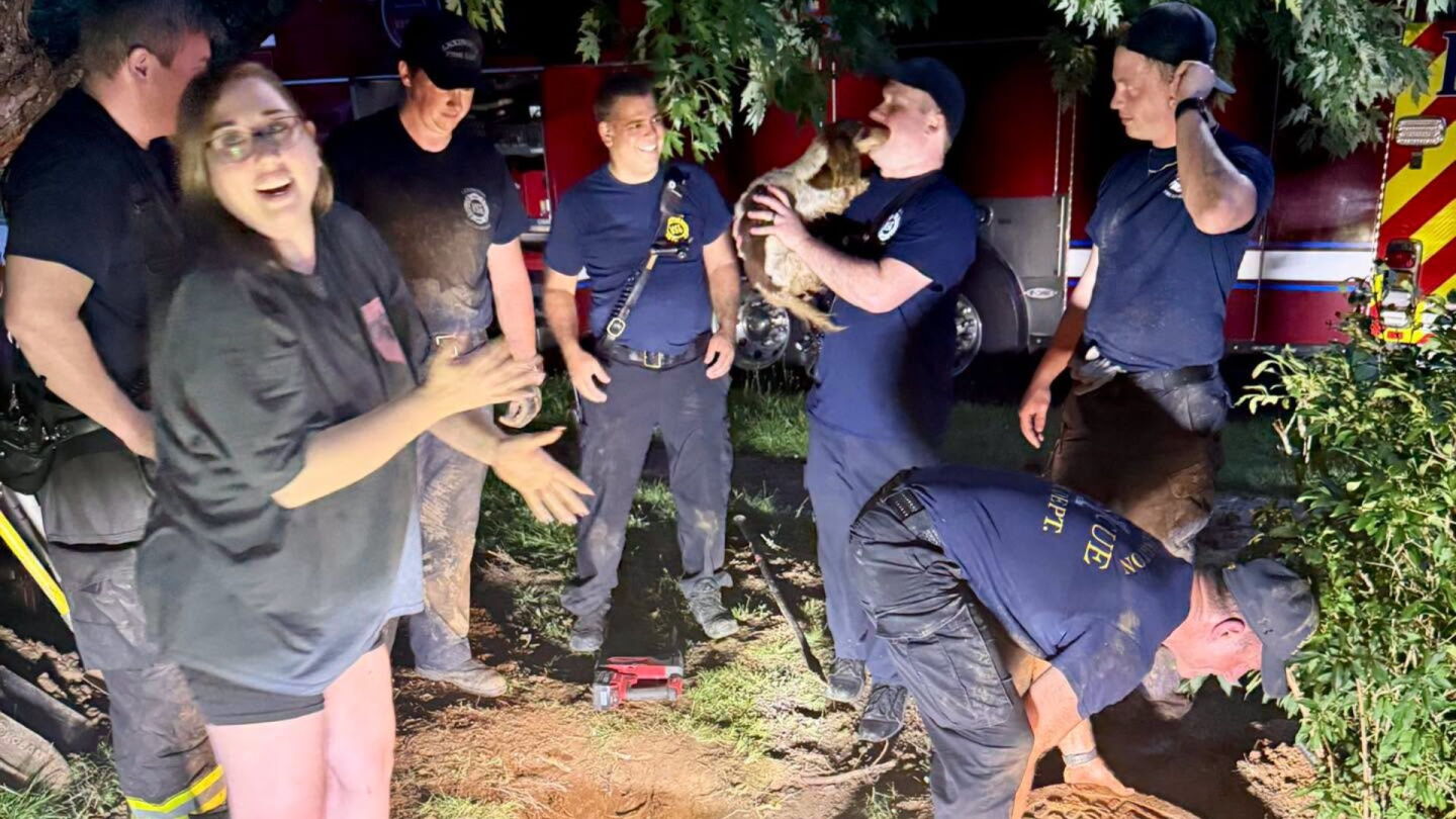 Ky. firefighters rescue dachshund trapped underground for 5 hours