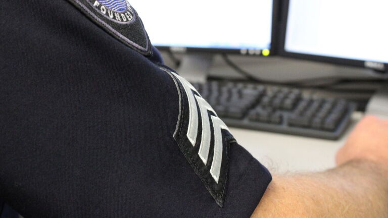 Police Supervisor Command What is the role of an acting supervisor in law enforcement?