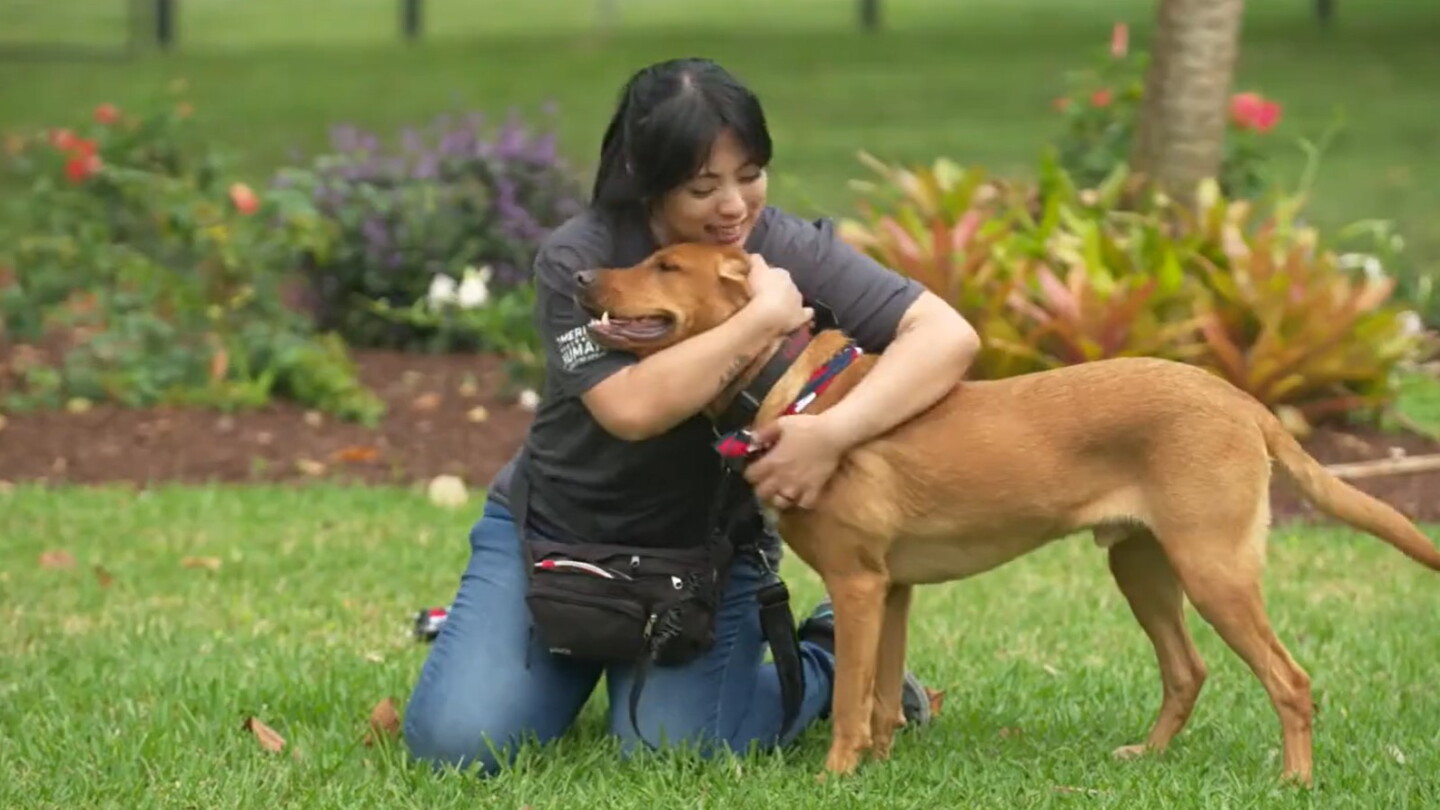 Very First Service Dog Healing heroes: How service dogs transform the lives of first responders