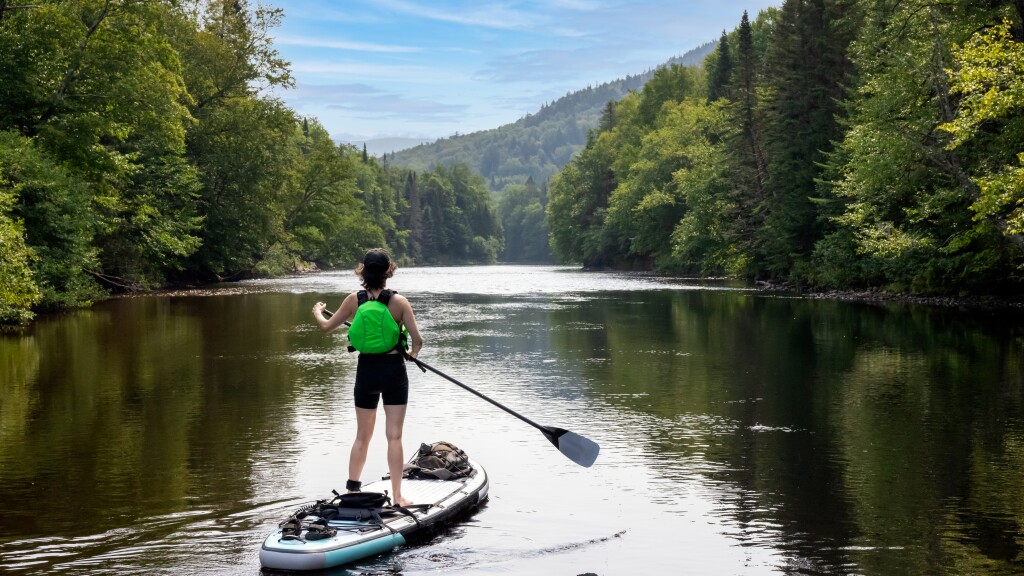 Woman Paddleboarding on the River in Summer