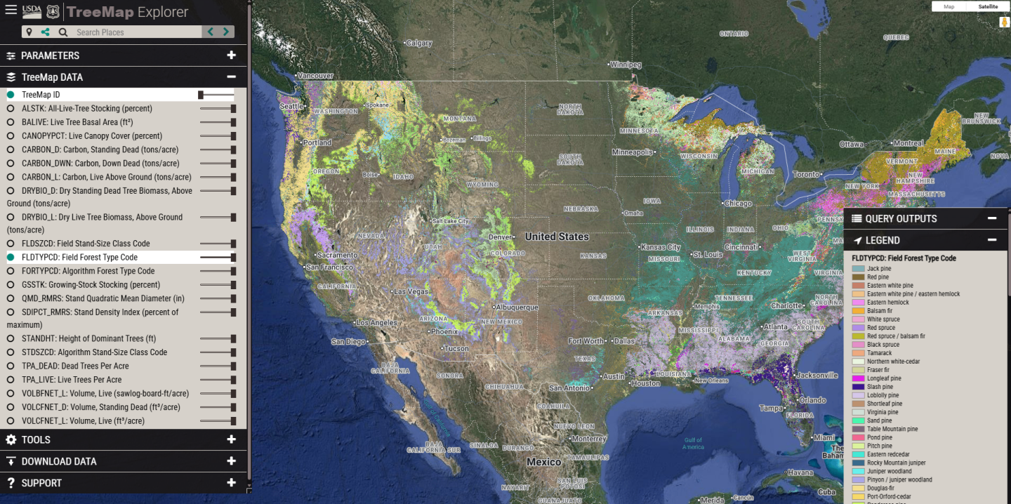Exploding Tree Risk Map Iowa Wildland firefighting snag hazards: Reducing the risk of falling trees