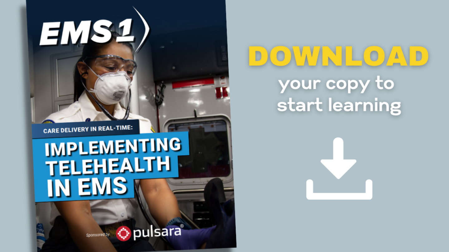 Telehealth DE Cover DL.png