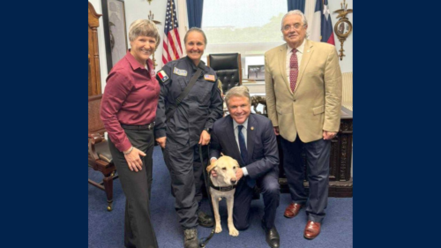 NL template 500x375 (11).png