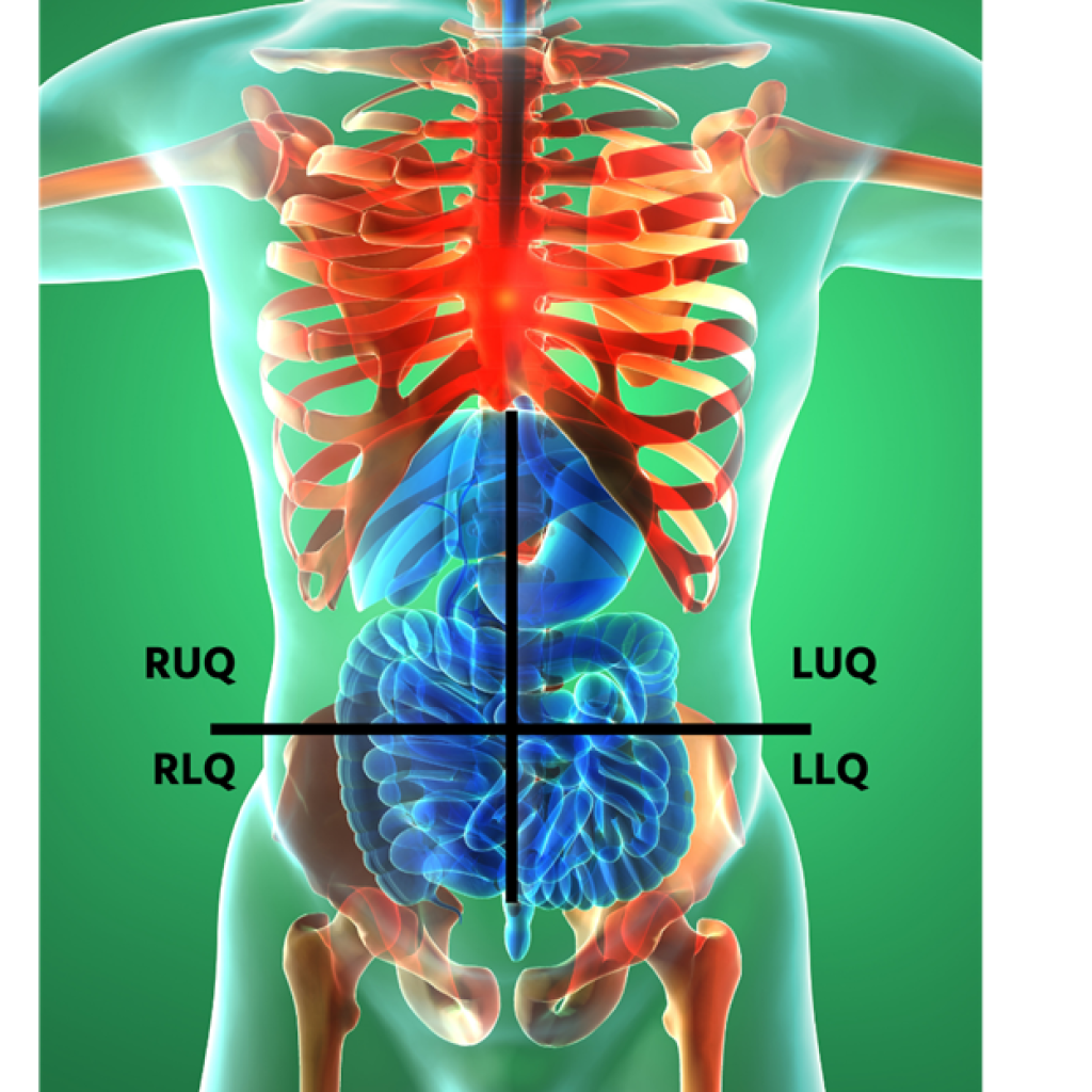 Abdominal pain 101 for EMS The abdominal quadrants