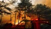 Wildfire-New-Jersey