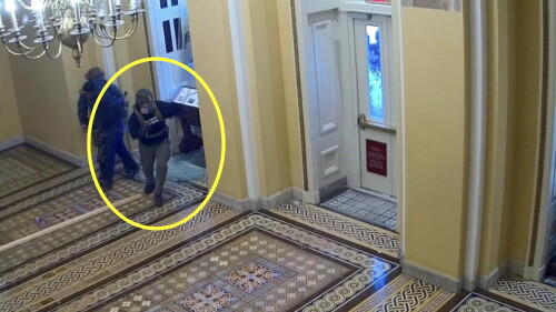 Capitol Riot Assassination Plot