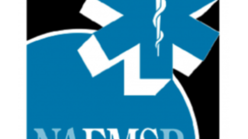 naemsp2clogo772c418tocixs_11188503 pg.png