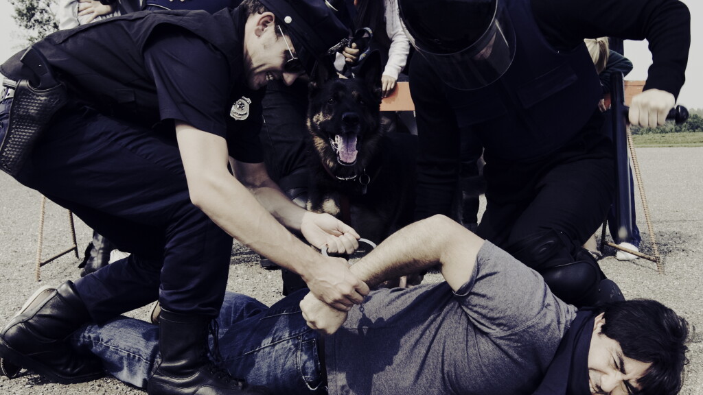Police crowd control tactics, analysis and tips